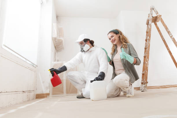 Best Black Mold Removal  in Myerstown, PA